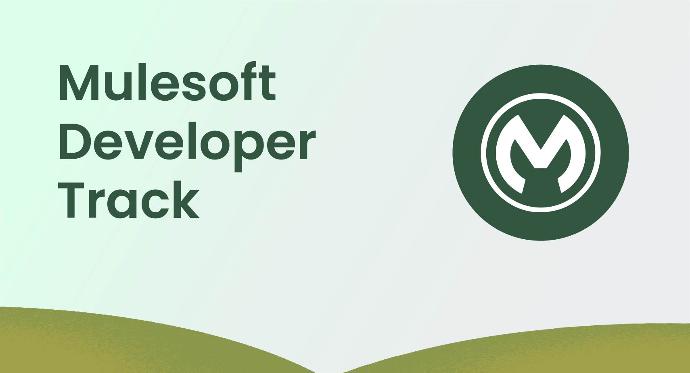 Mulesoft Developer Track