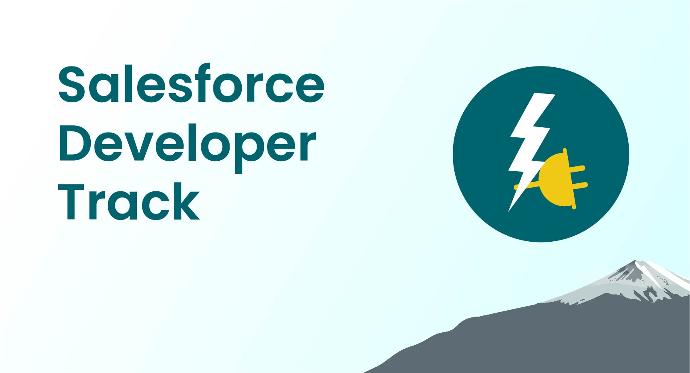 Salesforce Developer Track